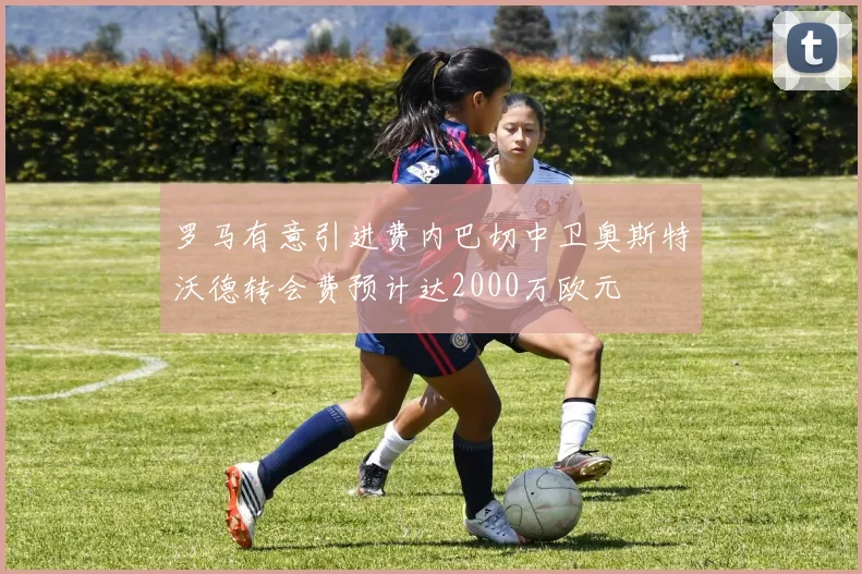 罗马有意引进费内巴切中卫奥斯特沃德转会费预计达2000万欧元